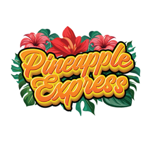PINEAPPLE EXPRESS 2G DISPOSBALE VAPE