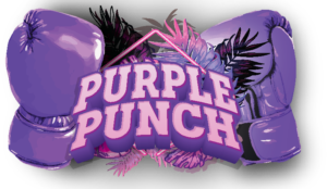 PURPLE PUNCH MATES PRE ROLL
